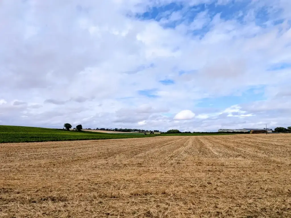Champs cultivés du Cambrésis autour de Cambrai